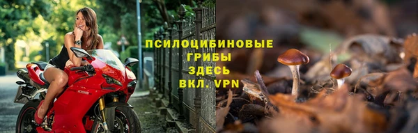 спайс Приозерск