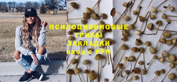 спайс Приозерск
