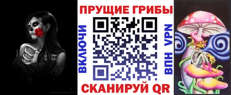 это состав Сысерть Псилоцибиновые грибы Psilocybine cubensis
